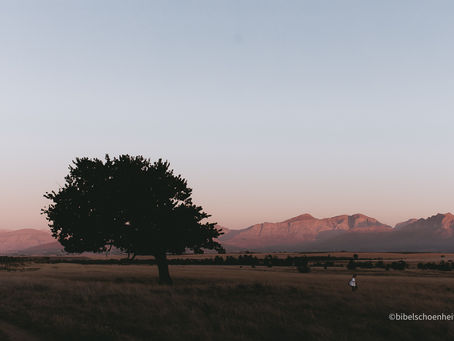 Ein Moment der Gnade – Gedanken aus Südafrika