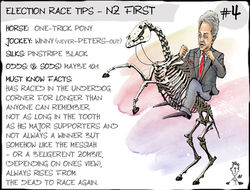 Election Guide NZFirst