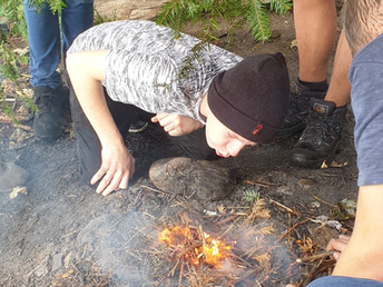 Teamwork im Wald