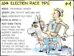Election Guide Nats