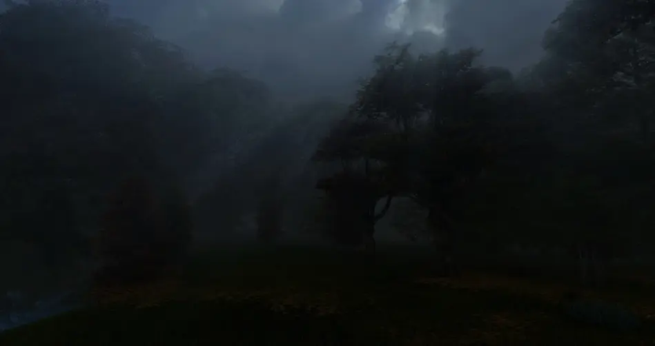 Forest 1.jpg