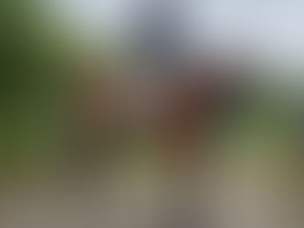 More winning ways at Pearce Bottomley Architects