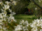 Dunvarlich House Garden