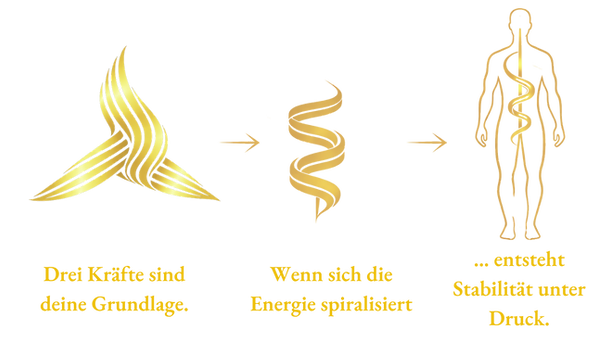 Schutz.png