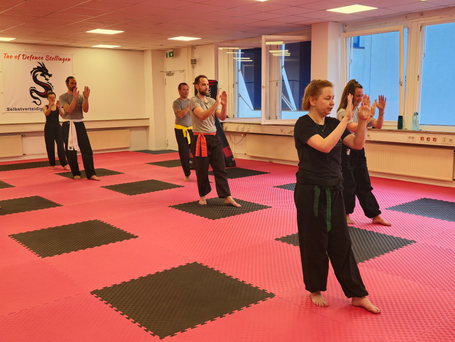 Vom Denken zum Handeln! Der Weg der Techniken vom Gehirn ins Rückenmark!