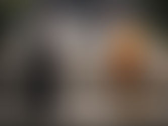 Zwei Kung-Fu-Meister stehen sich auf einer steinernen Tempeltreppe gegenüber: links ein in Schwarz gekleideter Wing-Chun-Praktizierender, rechts ein Shaolin-Mönch in orangefarbener Robe – Sinnbild zweier Wege der Selbstverteidigung aus gemeinsamer chinesischer Tradition.