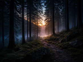 Farben transportieren wichtige Botschaften und sind im Weg des Drachen bewußt gewählt.