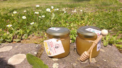 Bomboniera con Spargimiele