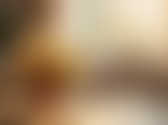 港区のモンドルフィンサービス概要