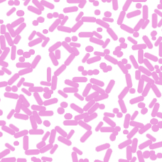 Fusobacterium infection facilitates the development of endometriosis through the phenotypic transition of endometrial fibroblasts