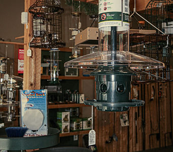 IMG_4917.JPG