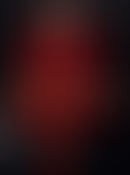 Andrea & Insider Access - Khi Người Trong Cuộc Mở Cánh Cửa Ferrari