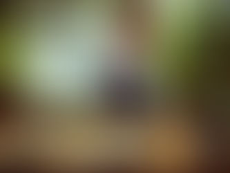 IL POGGIO FARM – Khi cuộc sống chậm lại giữa đồi núi Tuscany