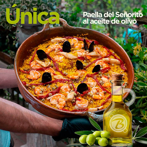 505037330_1142416721246055_5952772723274920405_n.jpg