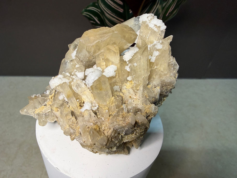 Thumbnail: Halite on Gypsum