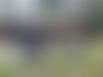 Jahresabschluss 2025