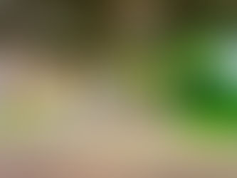 Hogeschool Inholland Alkmaar