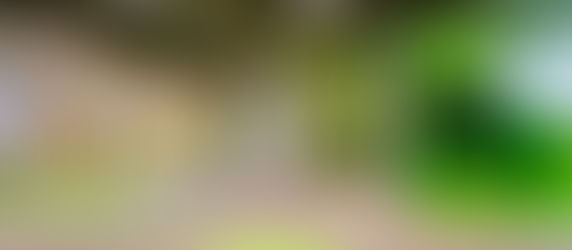 Hogeschool Inholland Alkmaar