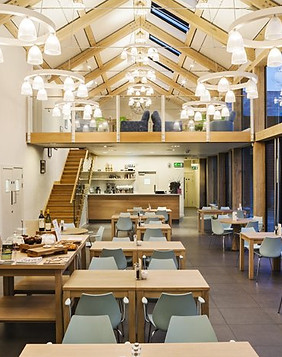inside the quince tree café