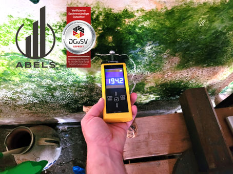 Limburg Hauskaufberatung Baugutachter Immobilienprüfung - ABELS Immobilienbewertung Ingenieure Sachverständige Gutachter Immobiliengutachter Diez Limburg Wiesbaden Mainz Frankfurt Idstein Bad Camberg Montabaur Koblenz