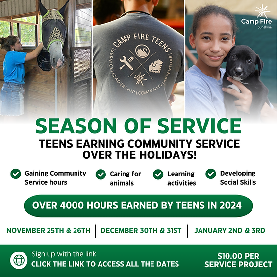 Season of Service Flyer_3.png