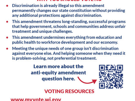 Vote NO on Proposed Amendments to our State Constitution