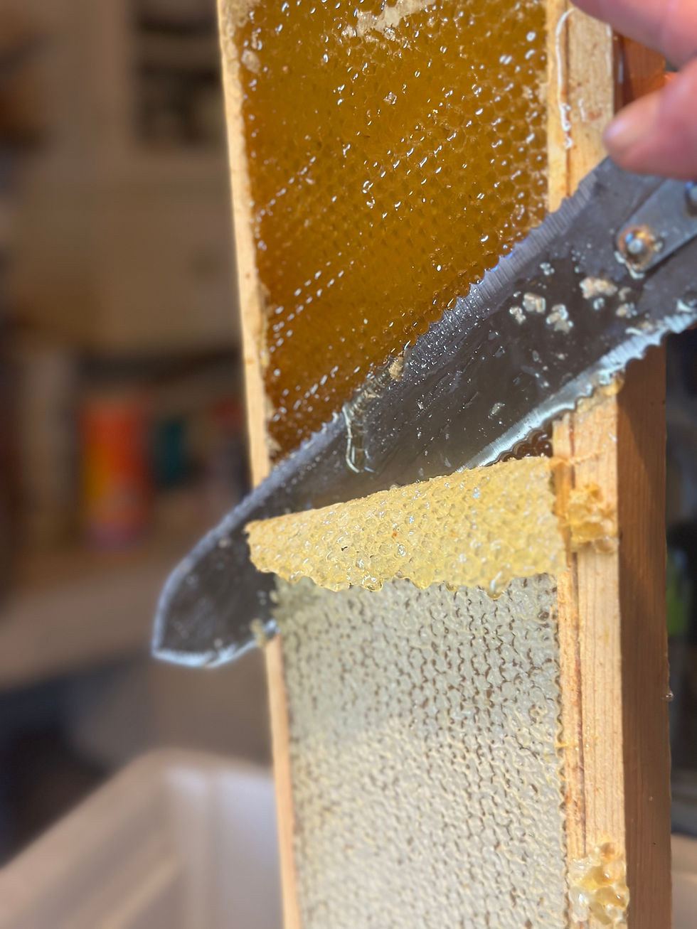 Harvesting a frame of honey
