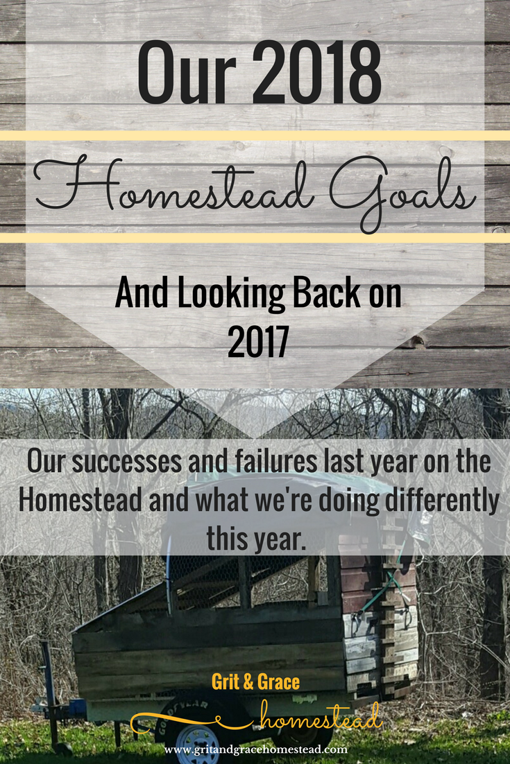 Our 2018 Homestead Goals