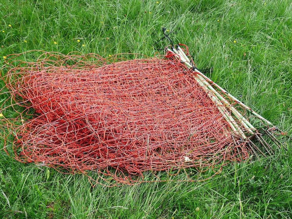 Electric Animal Netting