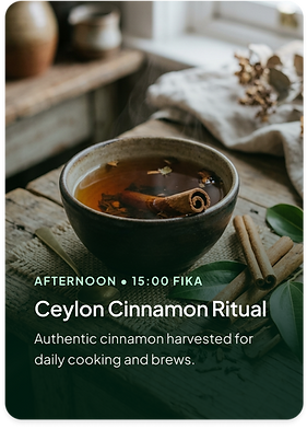 Link - Ritual Card 3.png