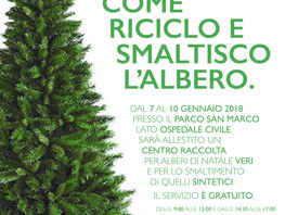 Latina, dal 7 al 10 Gennaio raccolta straordinaria degli alberi di Natale