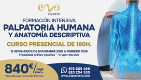 Curso Intensivo de Palpatoria Humana y Anatomía Descriptiva
