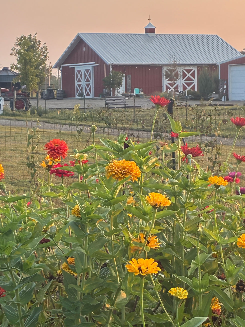 July Friday at the Farm Camp