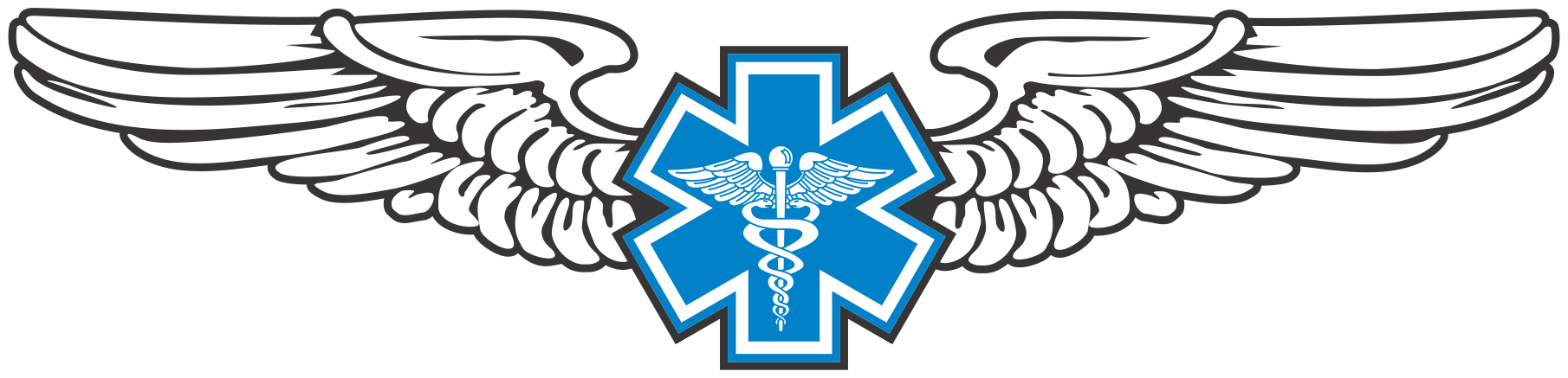 WG#017 S2 WINGS WITH CADUCEUS