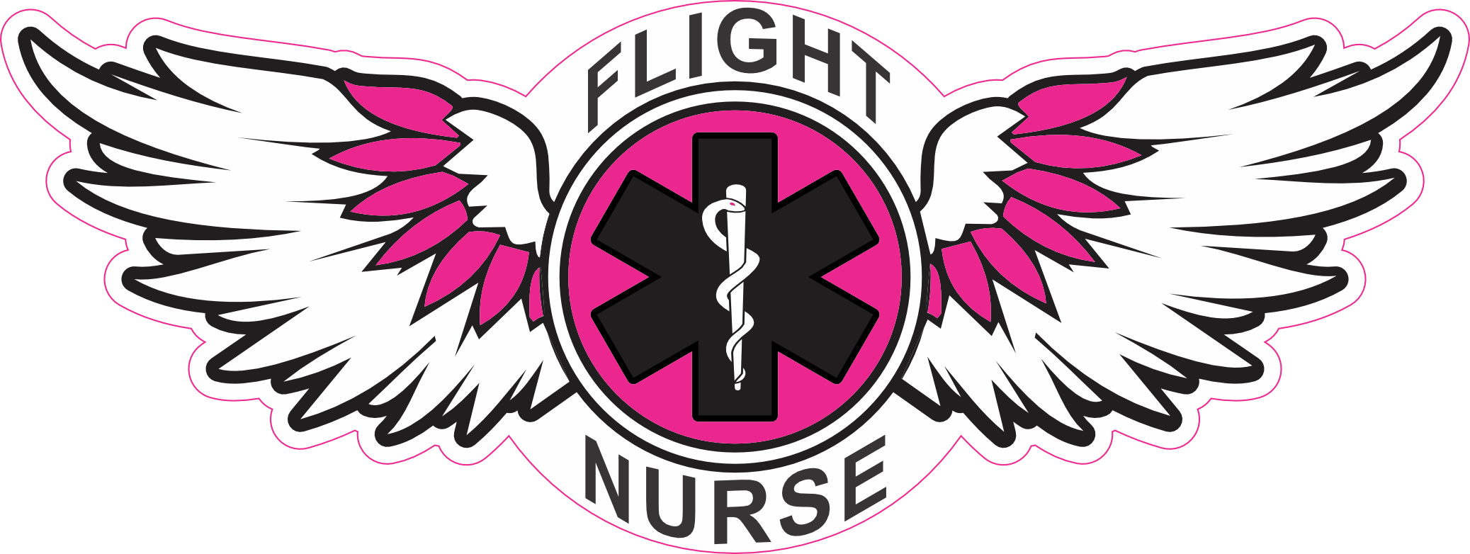 WG#080 EMS PINK WINGS