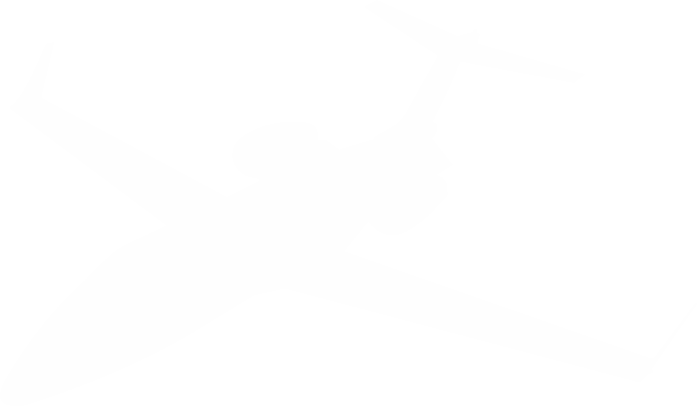 FWS#303 LEAR 40 Silhouette