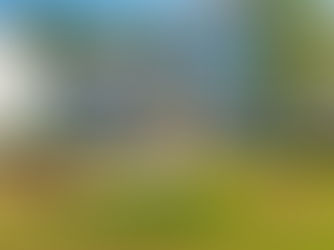 Explore Budget-Friendly New Construction in Raleigh NC