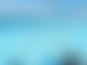 Weekly Pool Cleaning Tools You Need for Crystal Clear Water