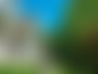 Ottawa Residents' Guide to Professional Painting Services