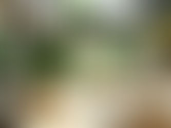 Essential Office Cleaning Checklist for Businesses: Daily, Weekly, Monthly & Deep-Clean Tasks