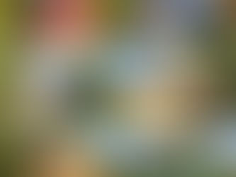 Discover Affordable Pole Barn Construction Options for You