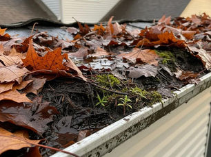 Urgent Signs Your Edmonton Gutters Are Clogged - Act Now!