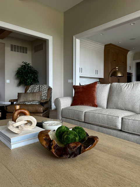 Transitional Living Room