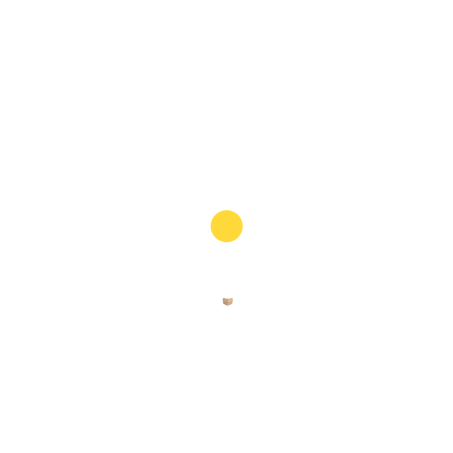 10393-testing-my-first-json.gif