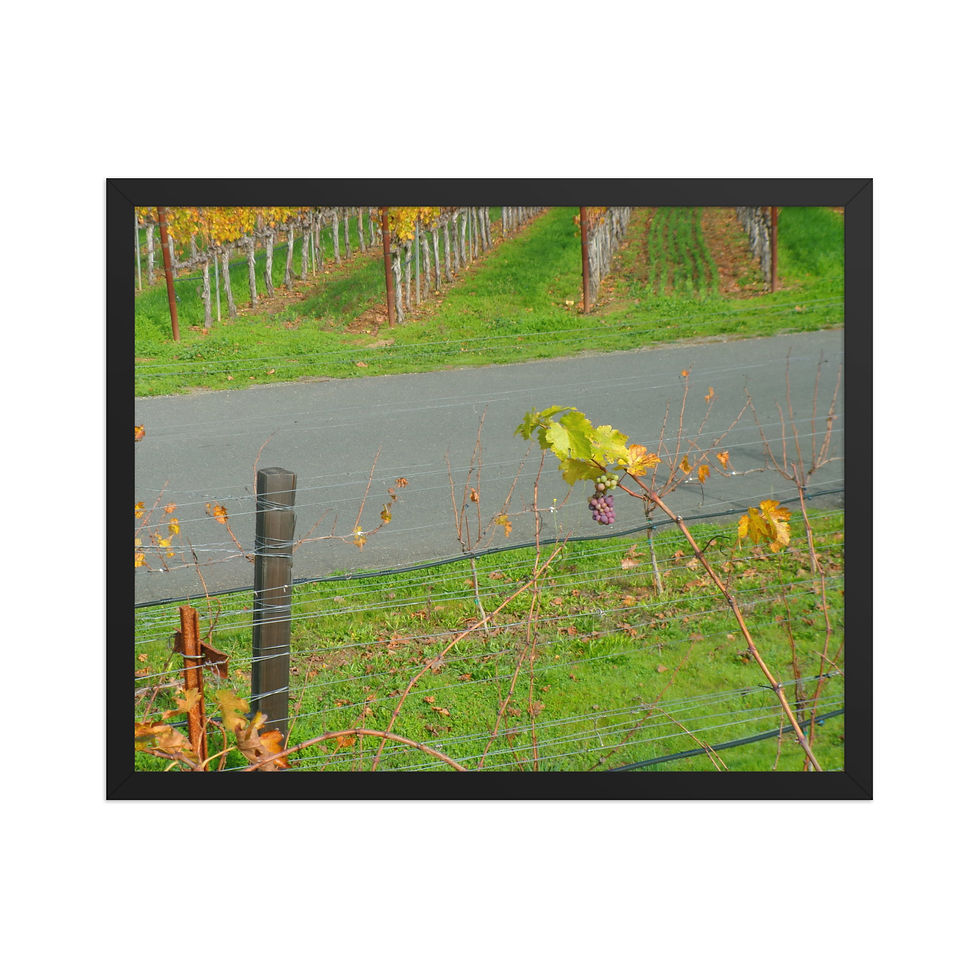 Thumbnail: The Grape Vine