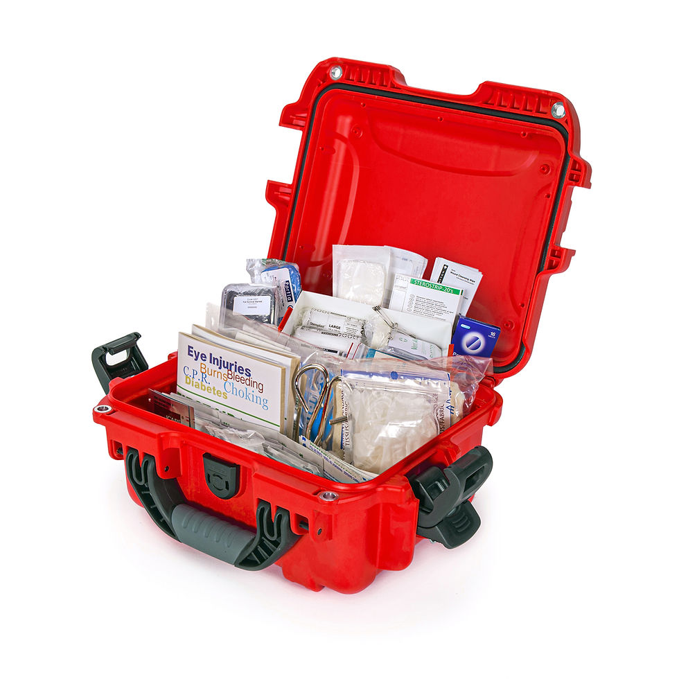 Thumbnail: NANUK 905 FIRST AID CASE