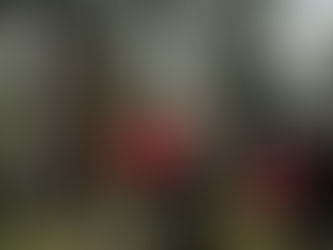 Man outdoors using a red Nanuk first aid case with a white cross symbol, placed on the open tailgate of a pickup truck surrounded by trees."