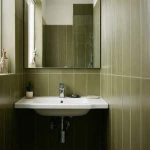 Compact Bathroom Renovation