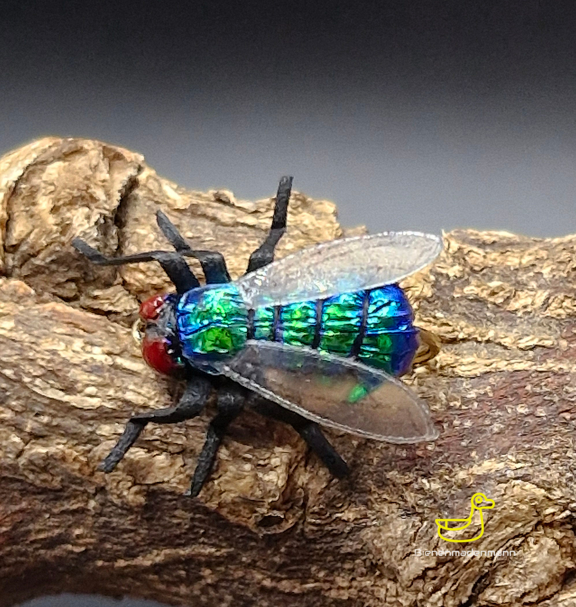 X-True Green Fly Hopper 11