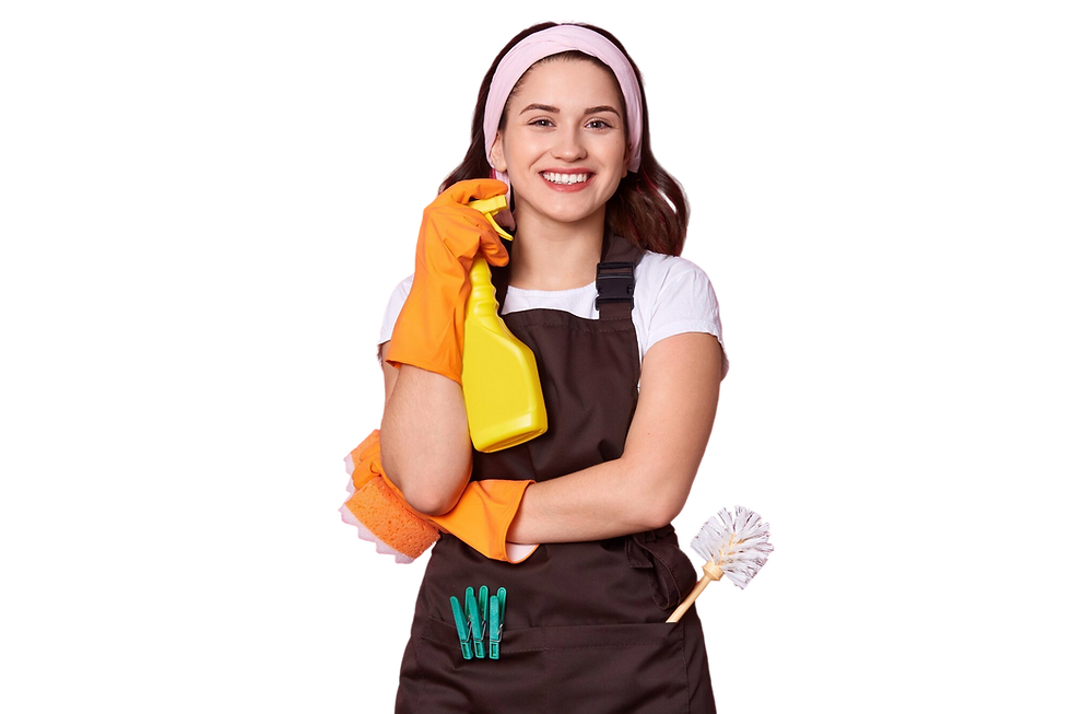 house cleaners
